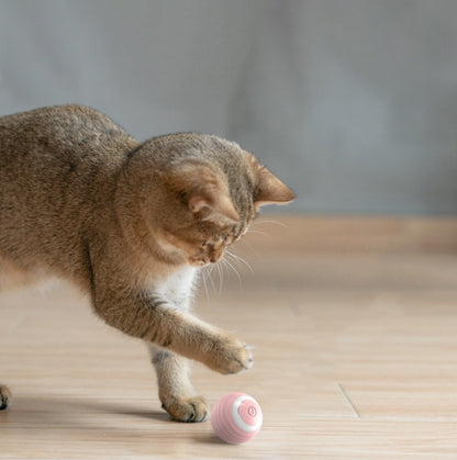 Bola Interativa Inteligente para Gatos – Movimento Automático & Diversão Garantida