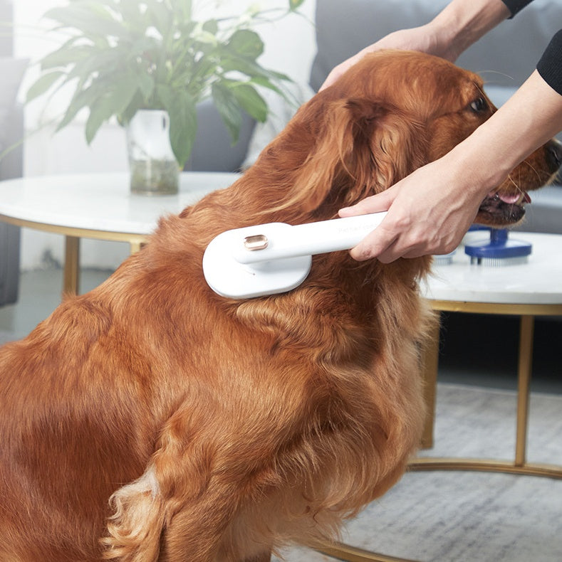 Pente Removedor de Pelos para Pets – Escova Massageadora 360°